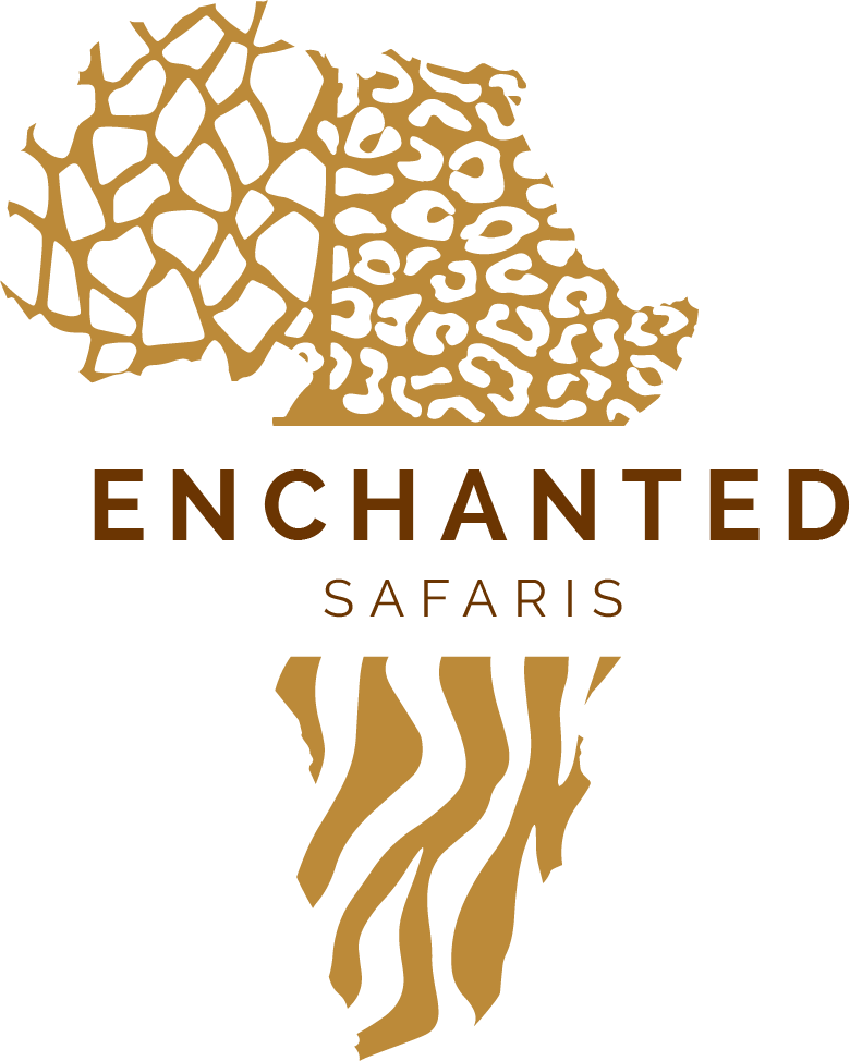 Enchanted Safaris