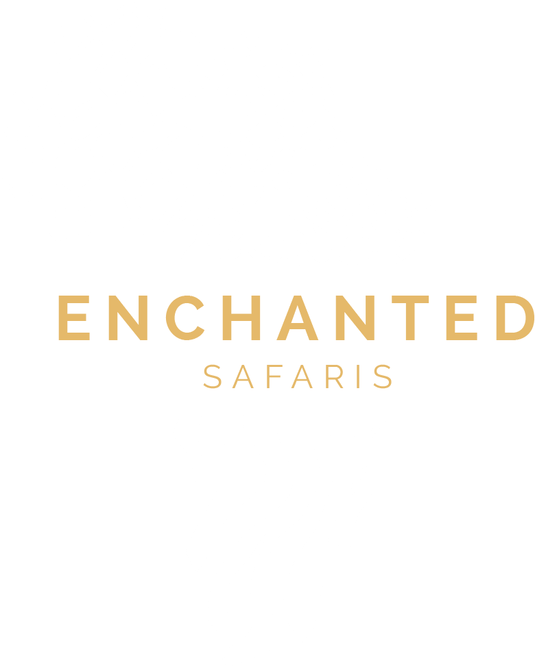 Enchanted Safaris